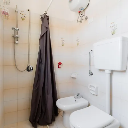 Apartment Mosquito